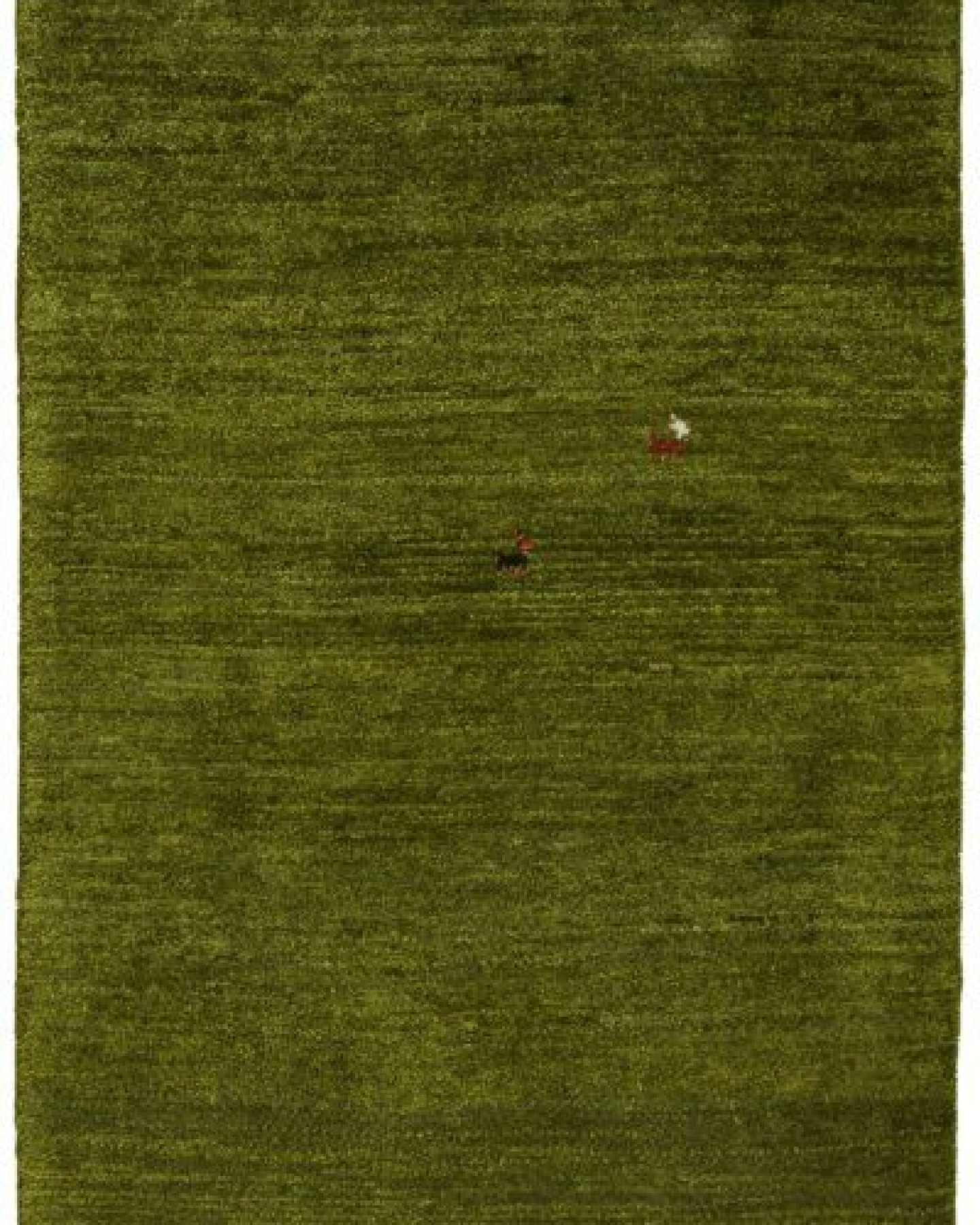 Gabbeh Grün „Rugtales“ aus Schurwolle, 84x120 cm – Ansicht 3