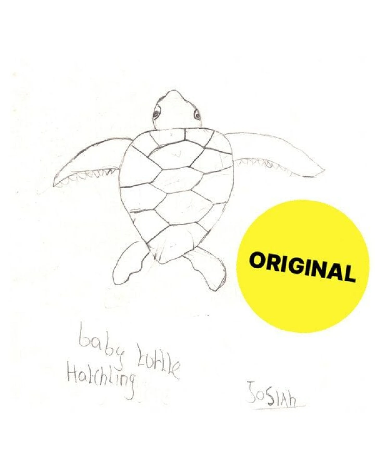 Kipepeo-Clothing BABY-TURTLE Männer T-Shirt aus Bio-Baumwolle mit Brusttasche Mitternachtsblau Made in Africa – Ansicht 4
