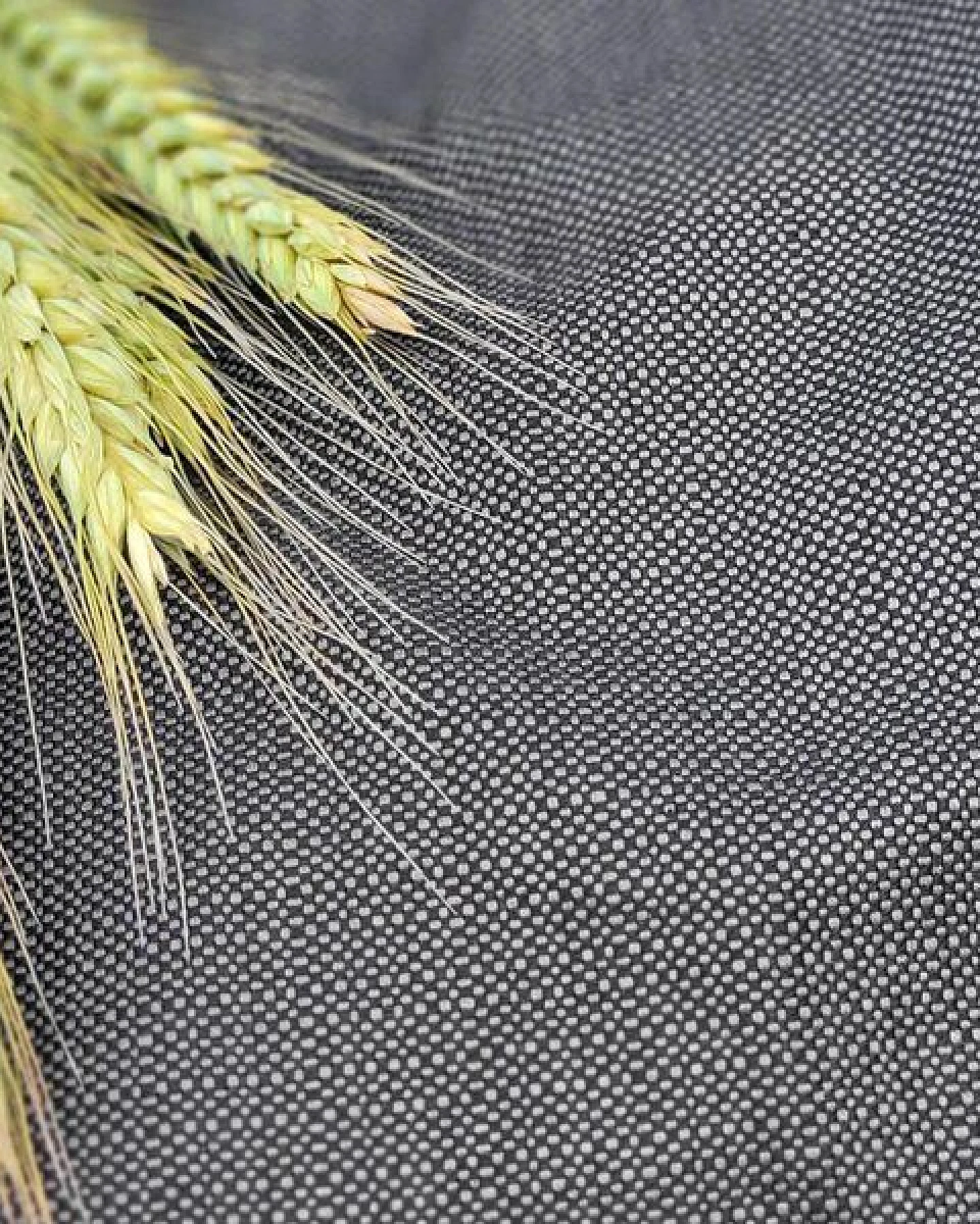 Hoppediz® Hoppediz Babytrage Hop-Tye Advanced -tolle Farben – Ansicht 2