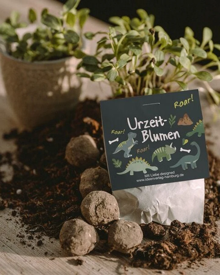 Ideenverlag Hamburg 10 „Dino“ Samenbomben im Tütchen mit Wildblumensaatgut