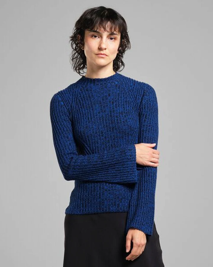 DEDICATED Langarmshirt Fide - Blue/Black
