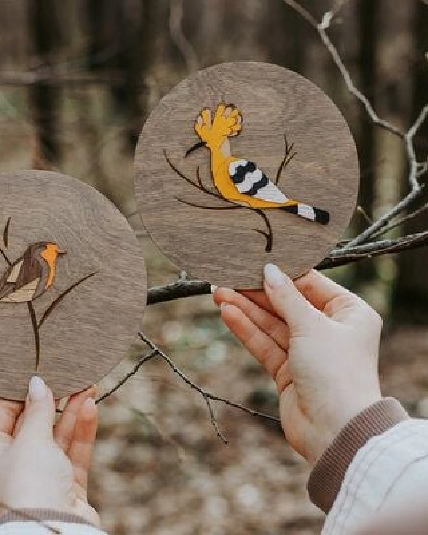 BeWooden Holzbild Wanddekoration – Wiedehopf – Ansicht 3