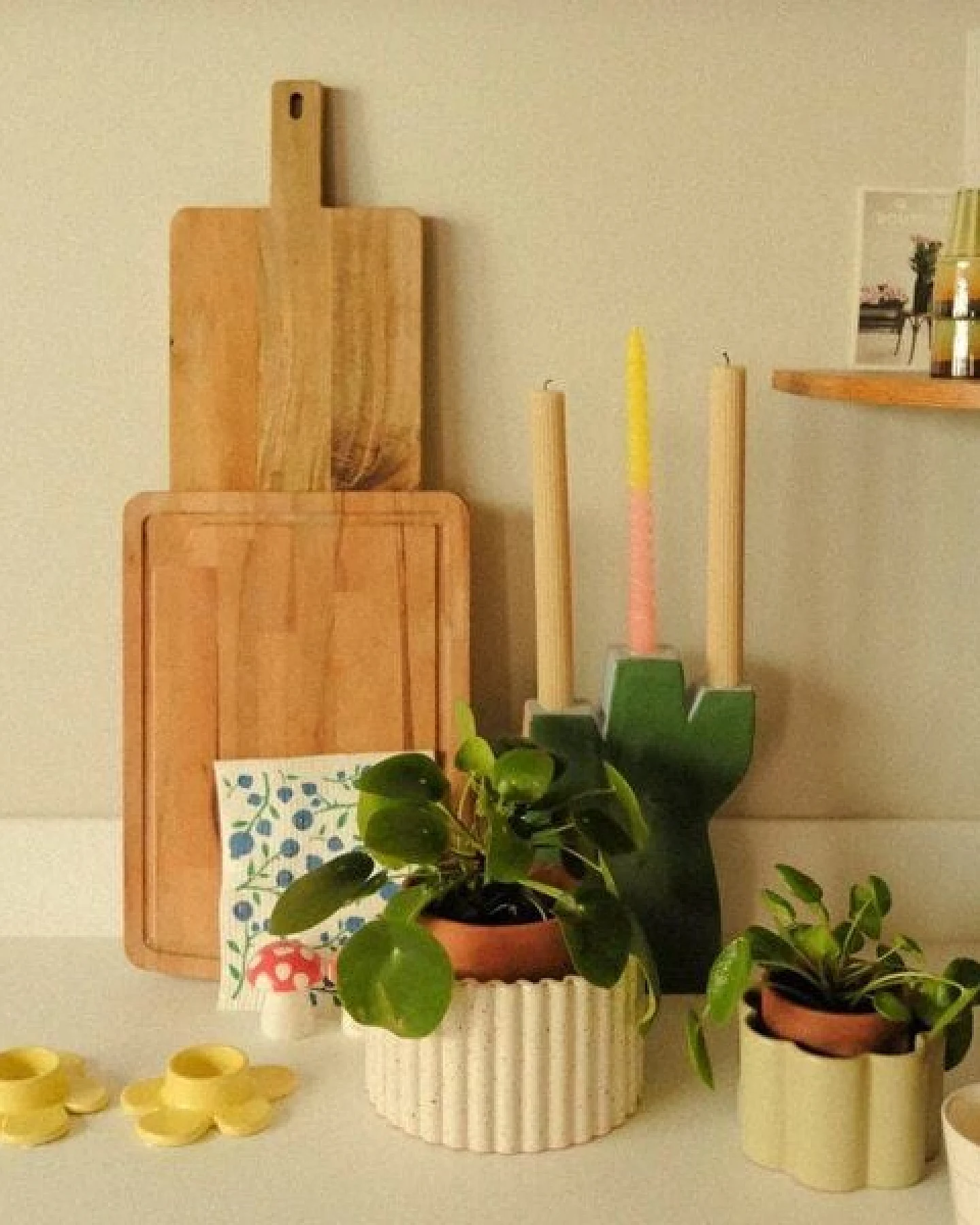 Pepin Pflanztopf Paula (M) – Ansicht 4