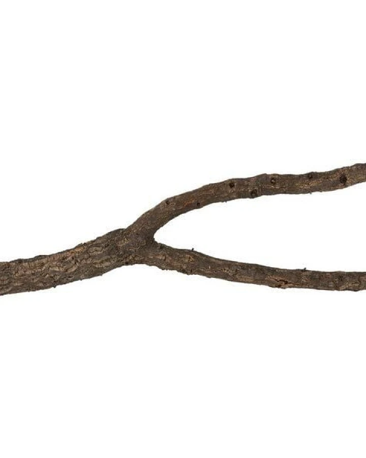Kork-Deko Korkast mit Gabelung 50 cm