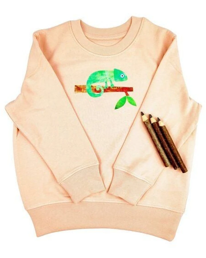 Meladi Kinder Sweater aus Biobaumwolle - Chamäleon auf Creme Latte