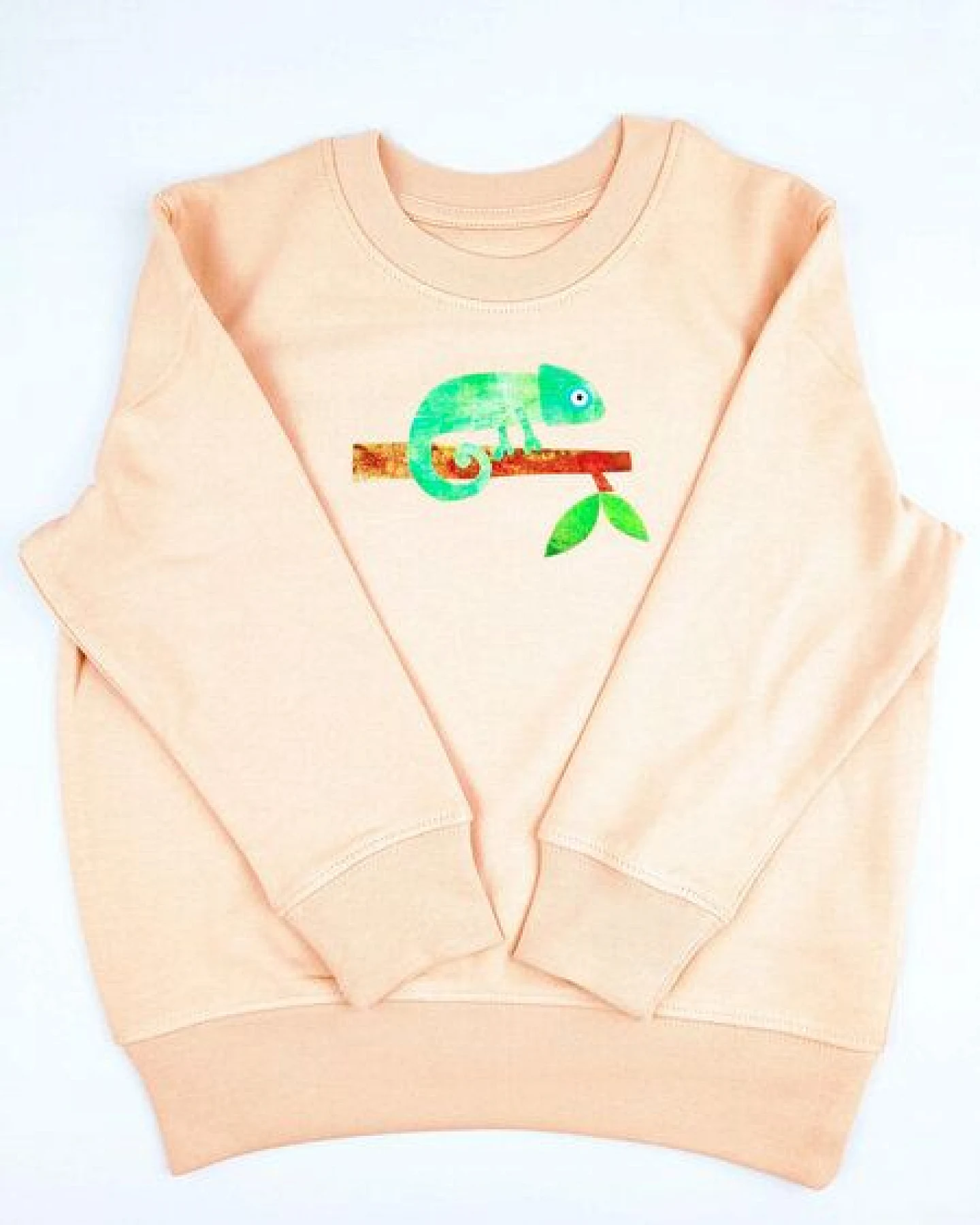 Meladi Kinder Sweater aus Biobaumwolle - Chamäleon auf Creme Latte – Ansicht 3