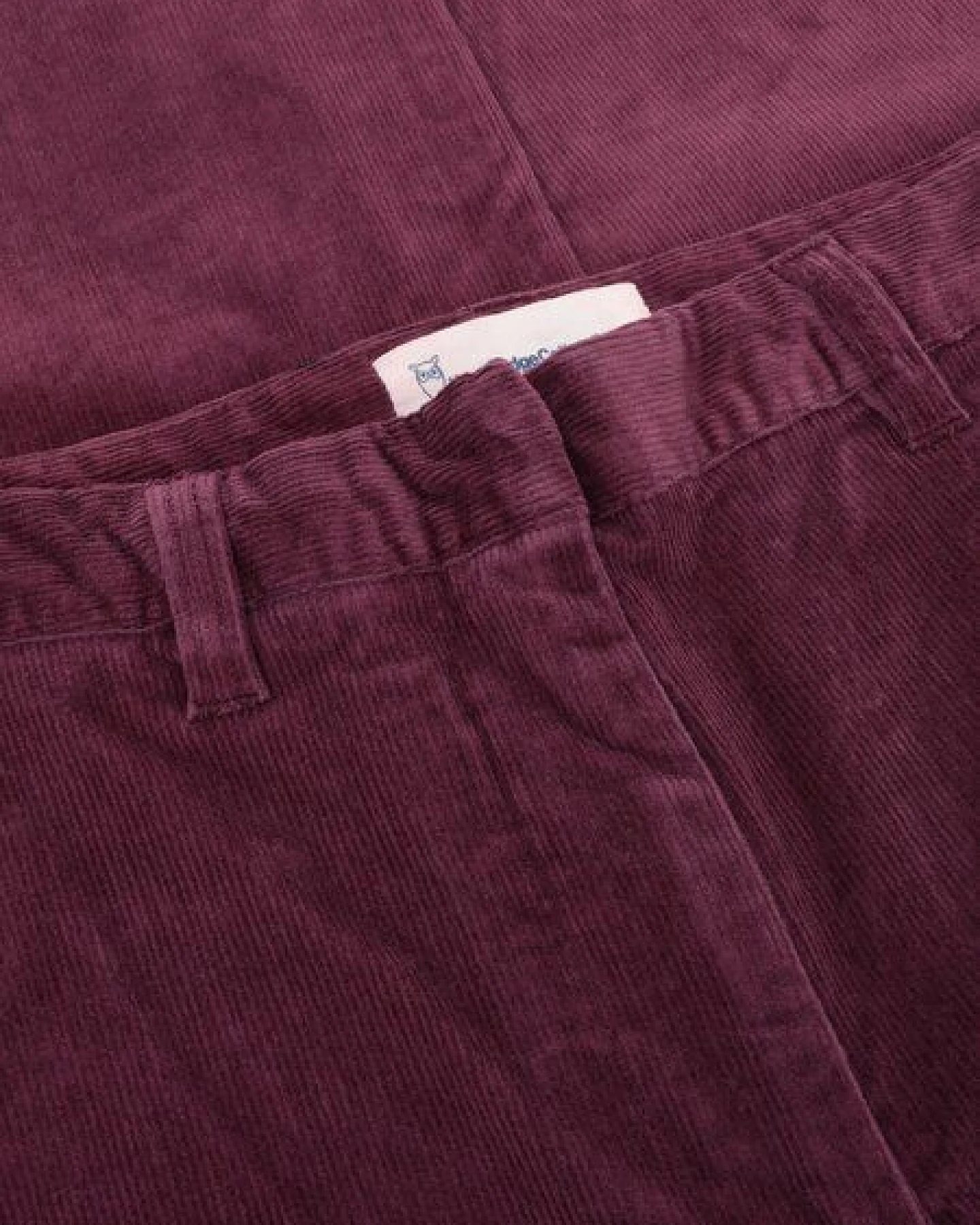 KnowledgeCotton Apparel Cord-Hose Posey – Ansicht 3