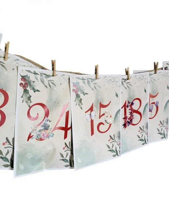 Saatgut Dillmann Bio-Adventskalender – 24 Überraschungen für Gartenfreunde