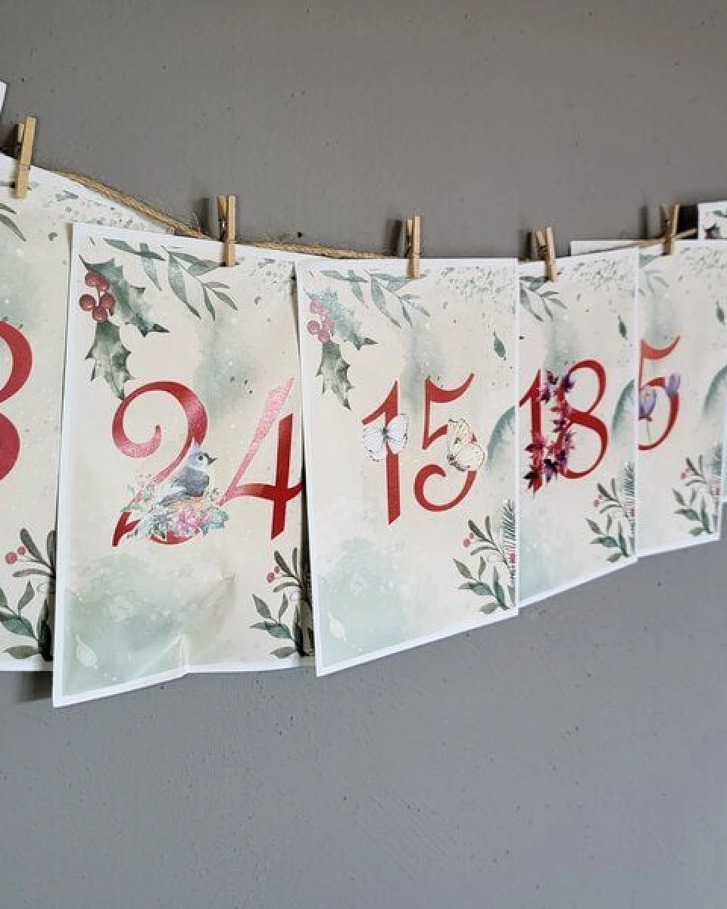 Saatgut Dillmann Adventskalender – 24 Überraschungen für Gartenfreunde – Ansicht 4