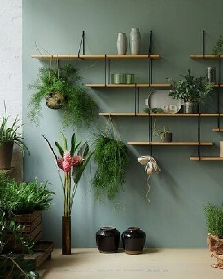 Hausen Wandregal Duo link shelf oak / black