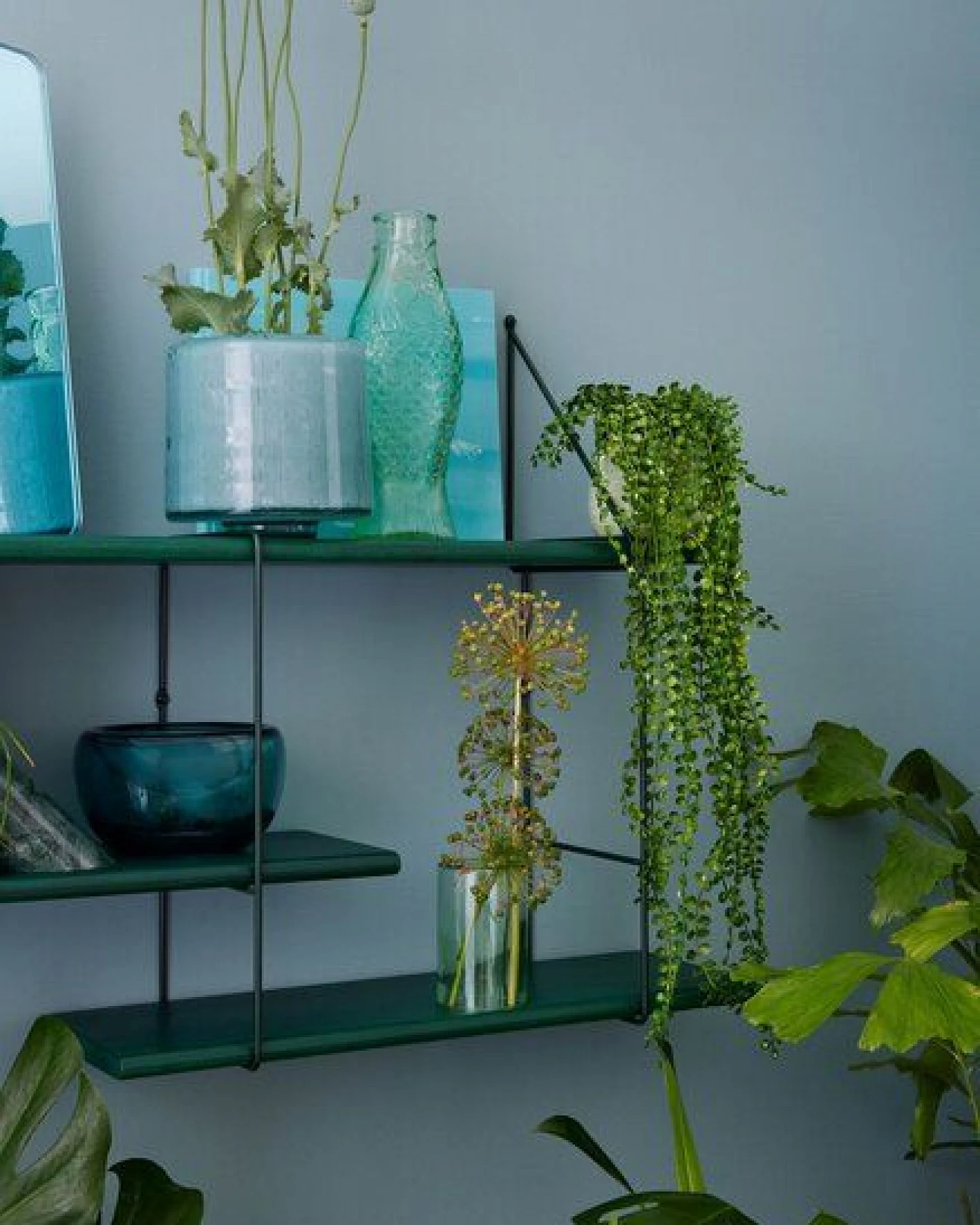 Hausen Wandregal SHRINK shelf forest – Ansicht 3