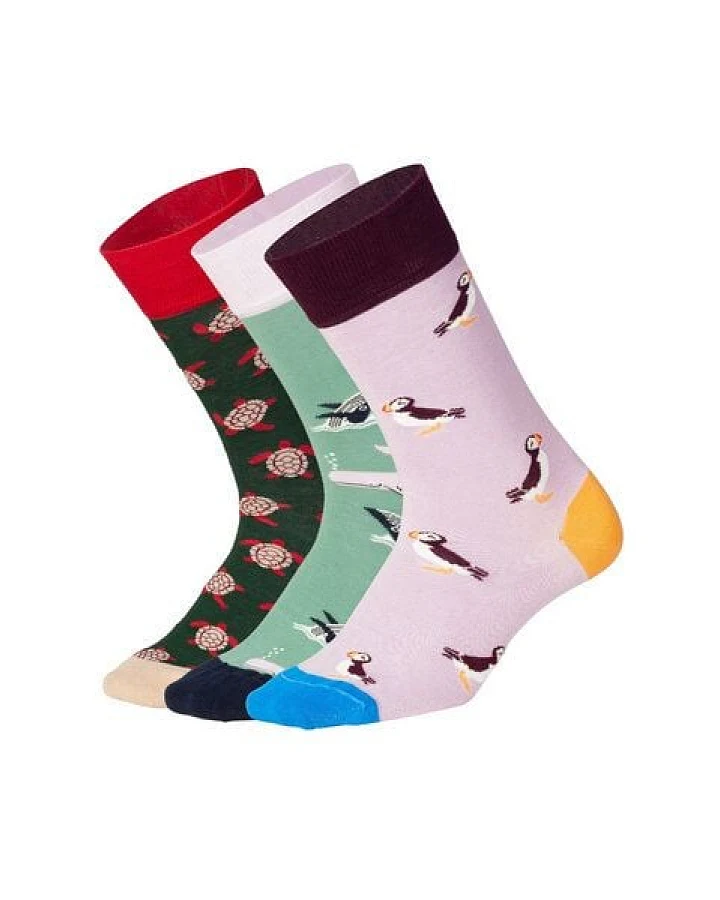 DillySocks Socken „Ocean Enthusiasts“