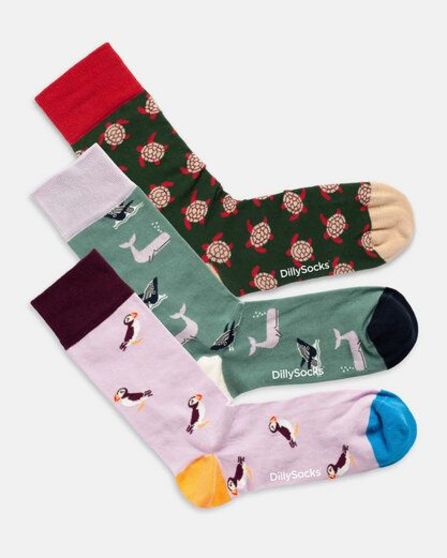DillySocks Socken „Ocean Enthusiasts“ – Ansicht 3
