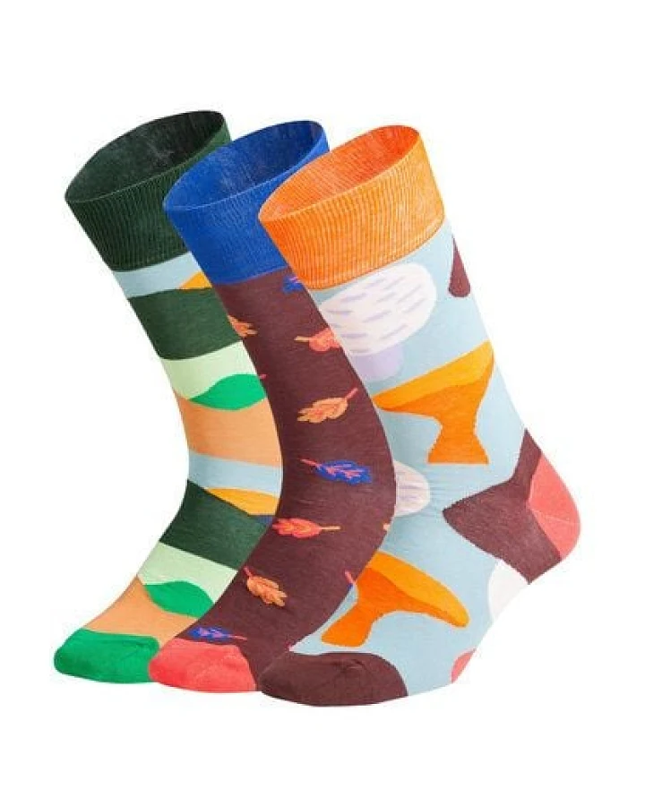 DillySocks Socken „Fall Wonders (3er Box)“