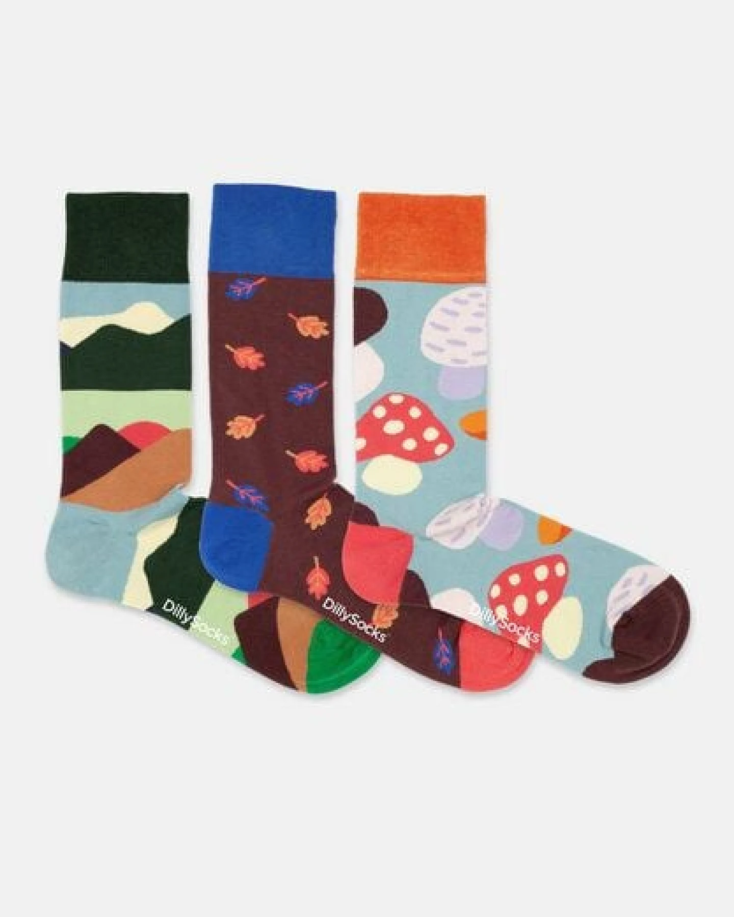 DillySocks Socken „Fall Wonders (3er Box)“ – Ansicht 4