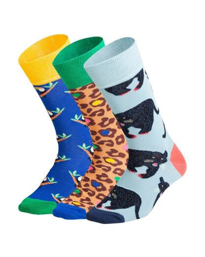 DillySocks Socken „Exotic Trio (3er Box)“