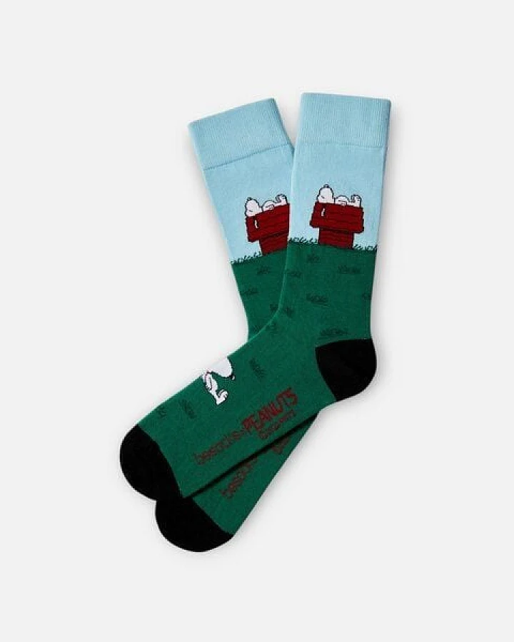BeSocks Bio-Tennissocken - Snoopy auf dem Haus, Farbe grün blau