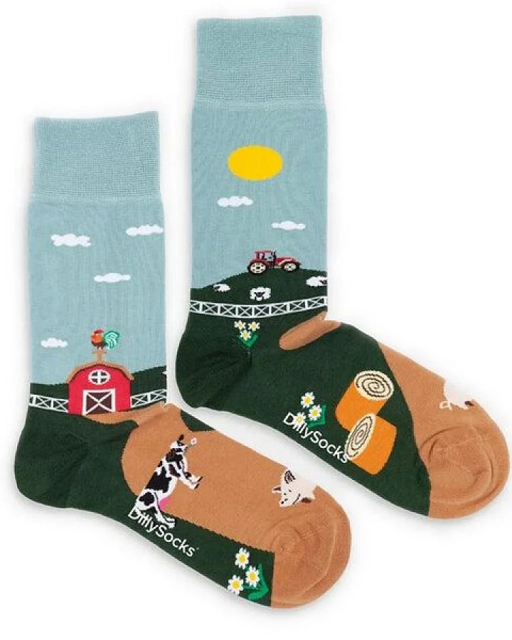 DillySocks Socken Farmer's Finest aus Biobaumwoll-Mix