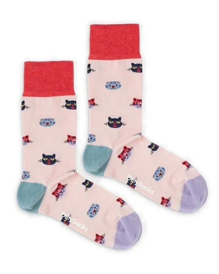 DillySocks Socken Curious Cats aus Biobaumwoll-Mix