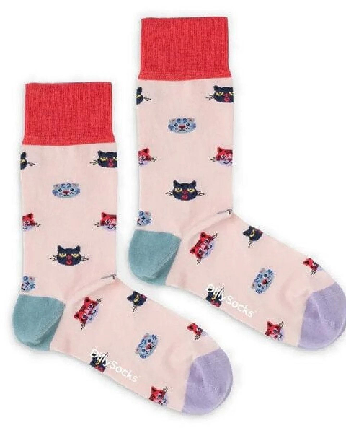 DillySocks Socken Curious Cats aus Biobaumwoll-Mix – Ansicht 2