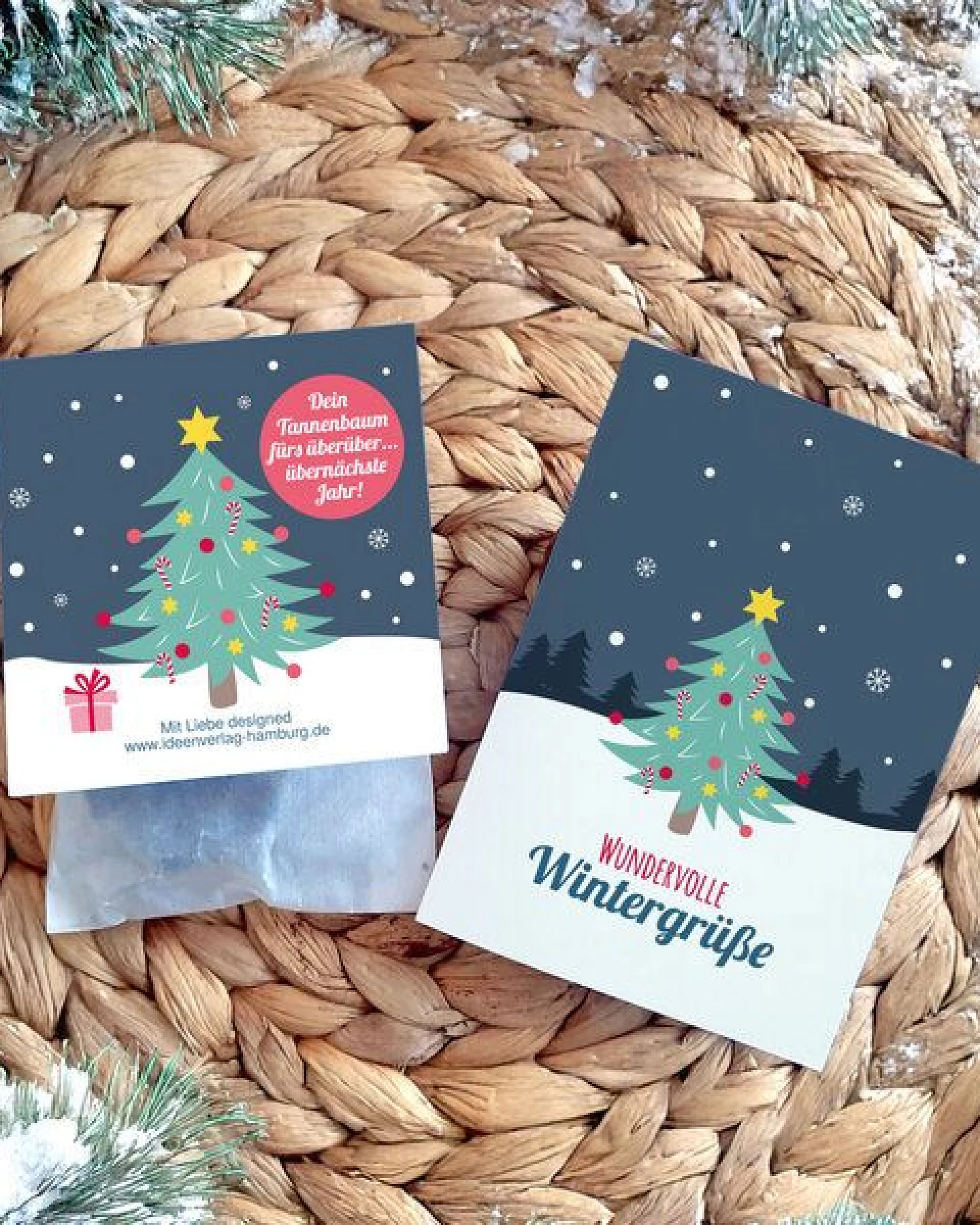 Ideenverlag Hamburg 6x Saatsterne „Tannenbaum“ mit Grußkarte – Ansicht 3