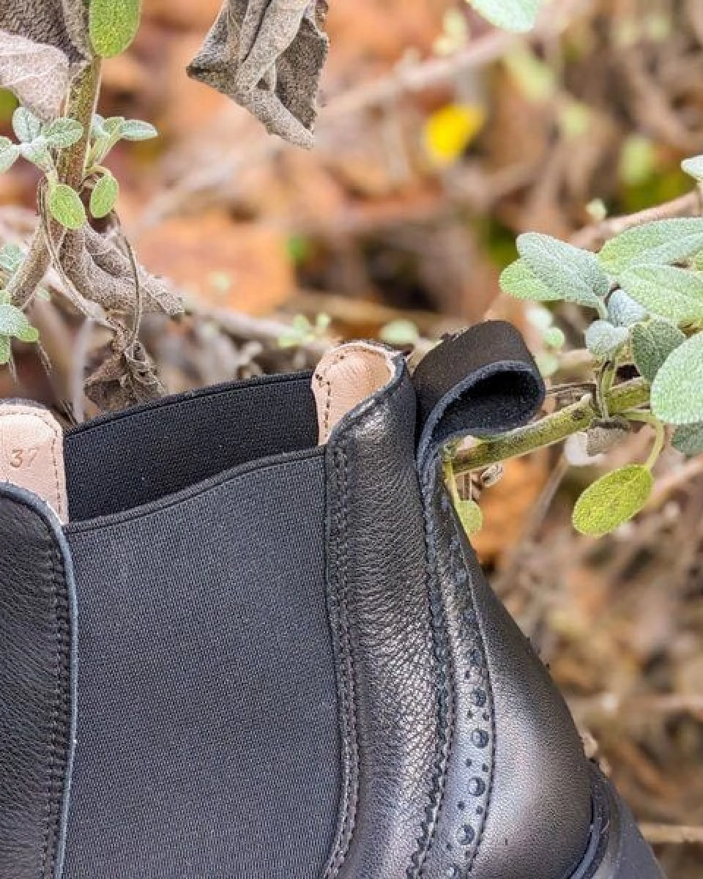 Werner Schuhe Schwarzer Chelsea Boot "Feldhamster" – Ansicht 2