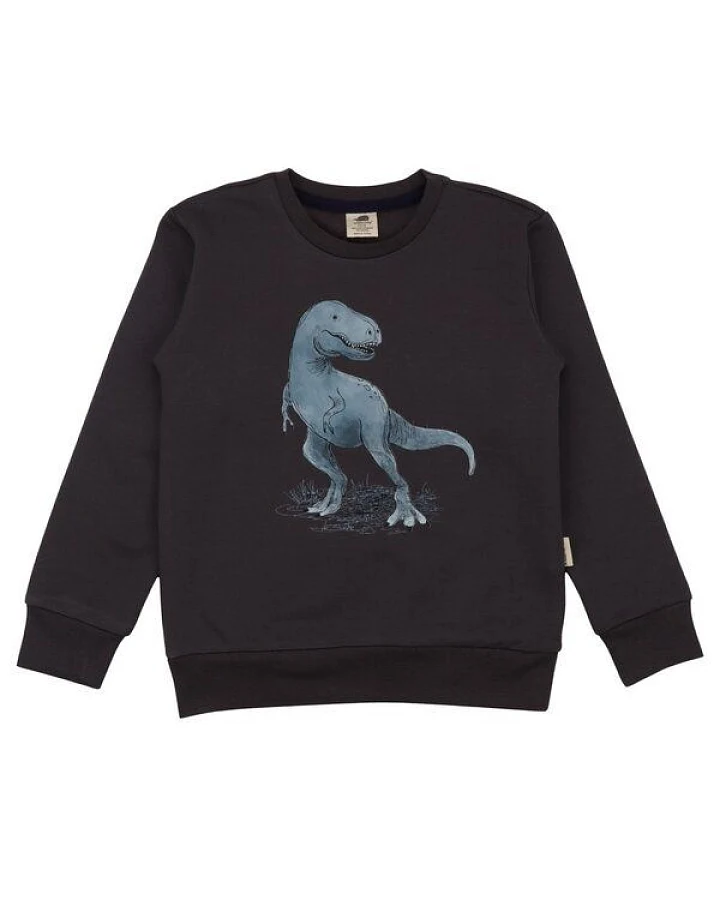 Jungen Sweatshirt Anthracite aus weicher Baumwolle von Walkiddy