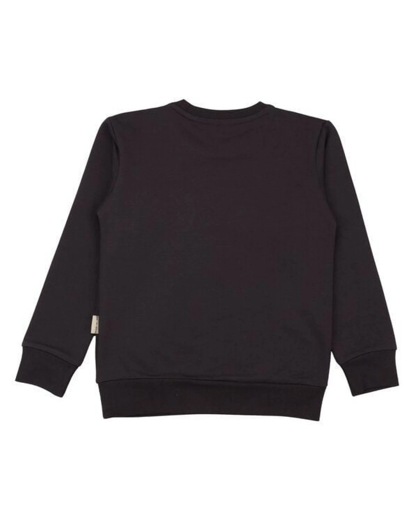Jungen Sweatshirt Anthracite aus weicher Baumwolle von Walkiddy – Ansicht 4
