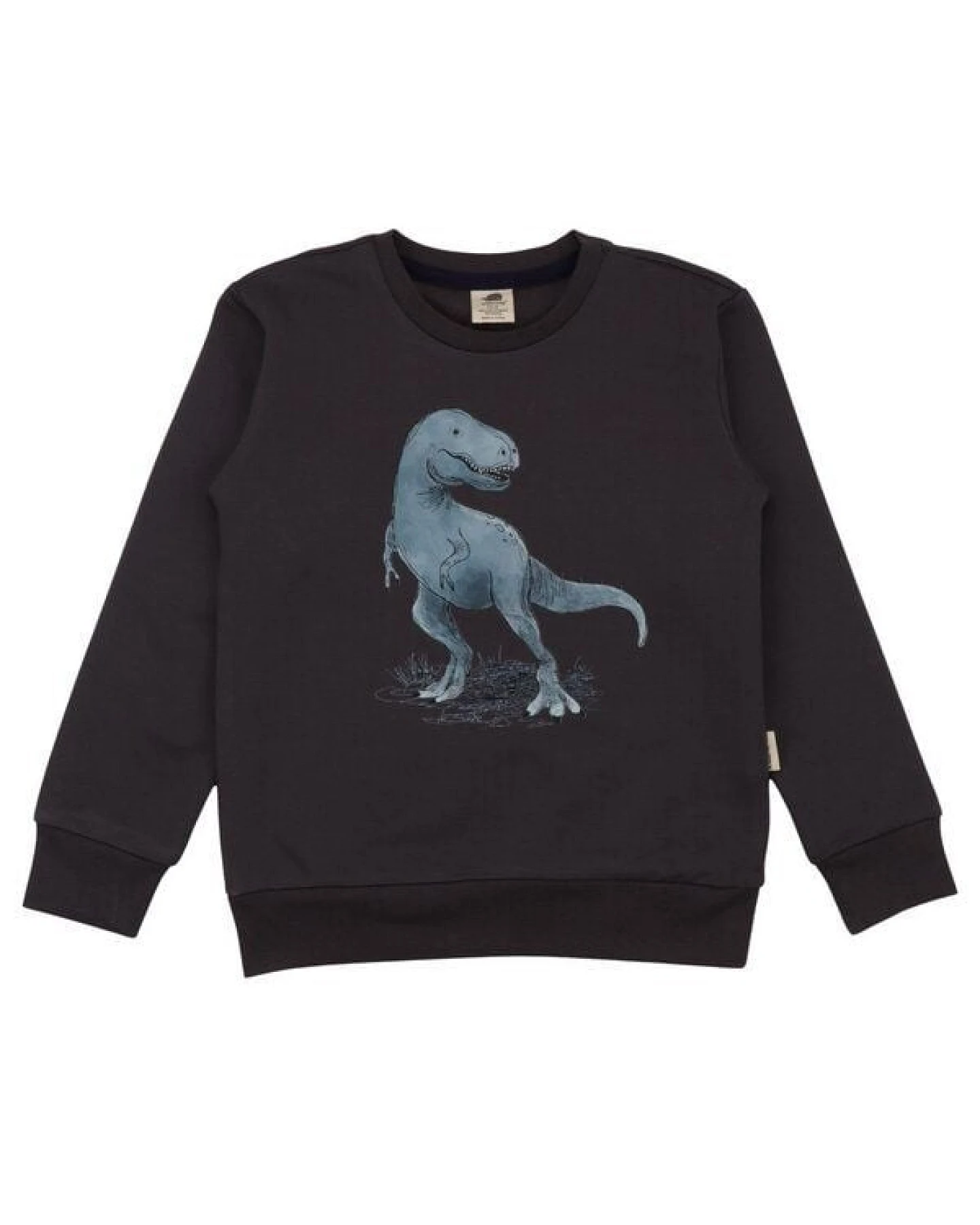 Jungen Sweatshirt Anthracite aus weicher Baumwolle von Walkiddy – Ansicht 2