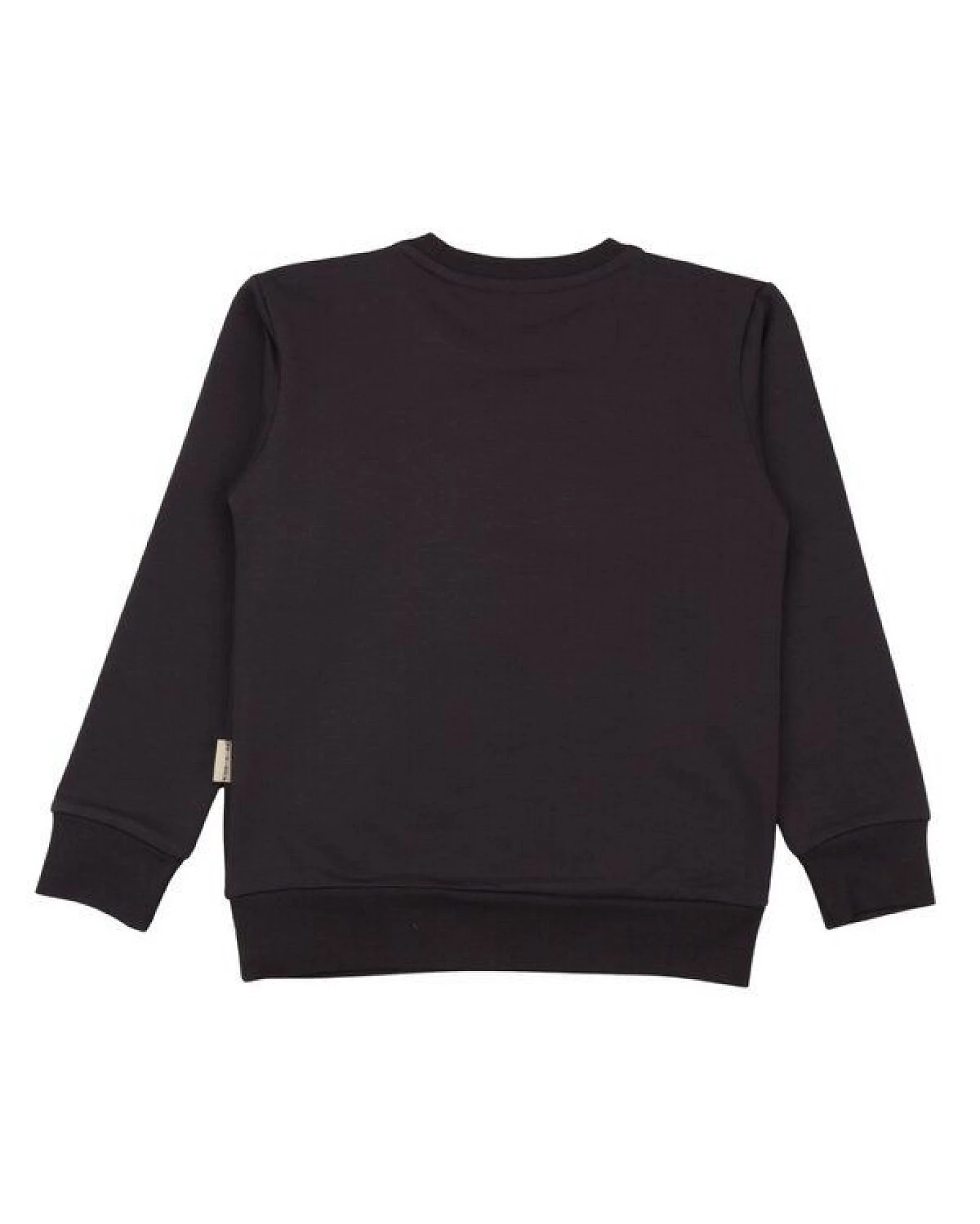 Jungen Sweatshirt Anthracite aus weicher Baumwolle von Walkiddy – Ansicht 4