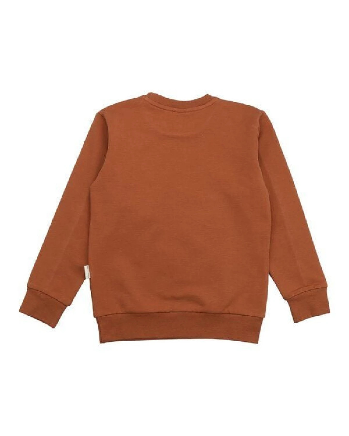 Kinder Sweatshirt GOTS-zertifiziert aus Bio-Baumwolle, braun mit Herbstblättern, langarm – Walkiddy, weich & hautfreundlich – Ansicht 4