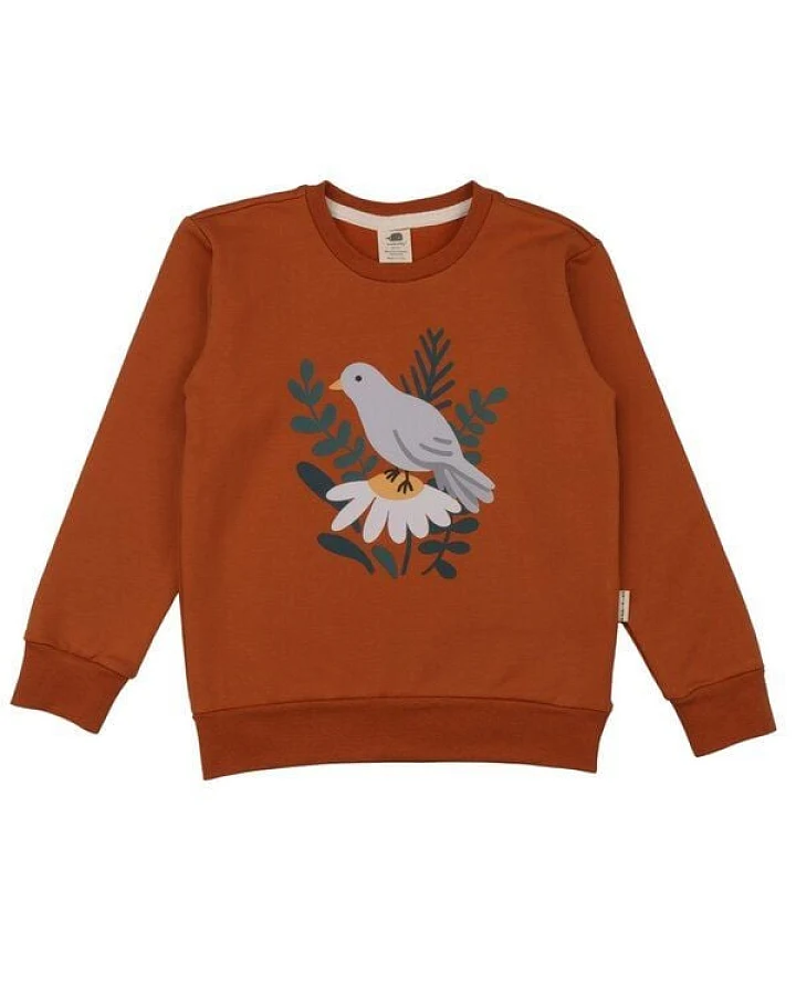 Kinder Sweatshirt GOTS-zertifiziert aus Bio-Baumwolle, braun mit Vogelmotiv, langarm, weicher Rundhalsausschnitt – Walkiddy, bequem & hautfreundlich