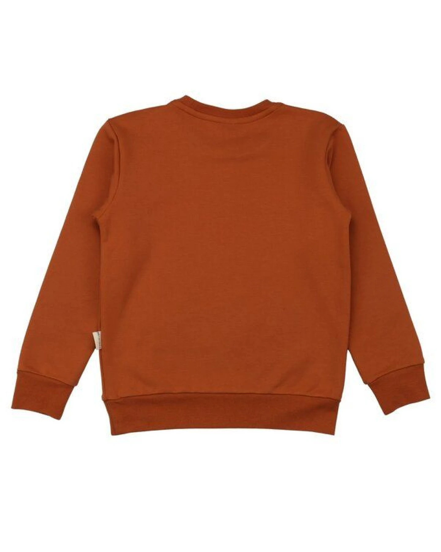 Kinder Sweatshirt GOTS-zertifiziert aus Bio-Baumwolle, braun mit Tiermotiv, langarm – Walkiddy, weich & hautfreundlich für Alltag und Kindergarten – Ansicht 4