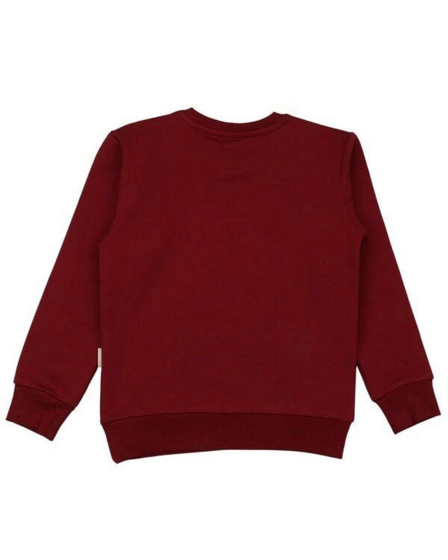 Sweatshirt Dunkelrot Eisschloss-Frontprint Bio-Baumwolle GOTS – Walkiddy – Ansicht 4