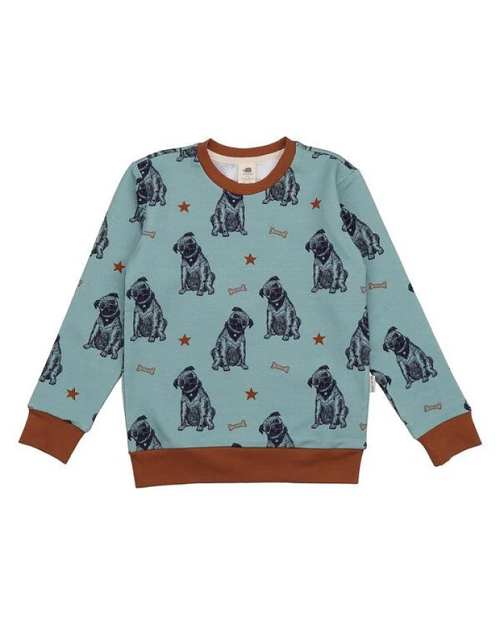 Kinder Sweatshirt – Blaugrün mit Hundemotiv, weich & bequem, wärmend, alltagstauglich, gut kombinierbar