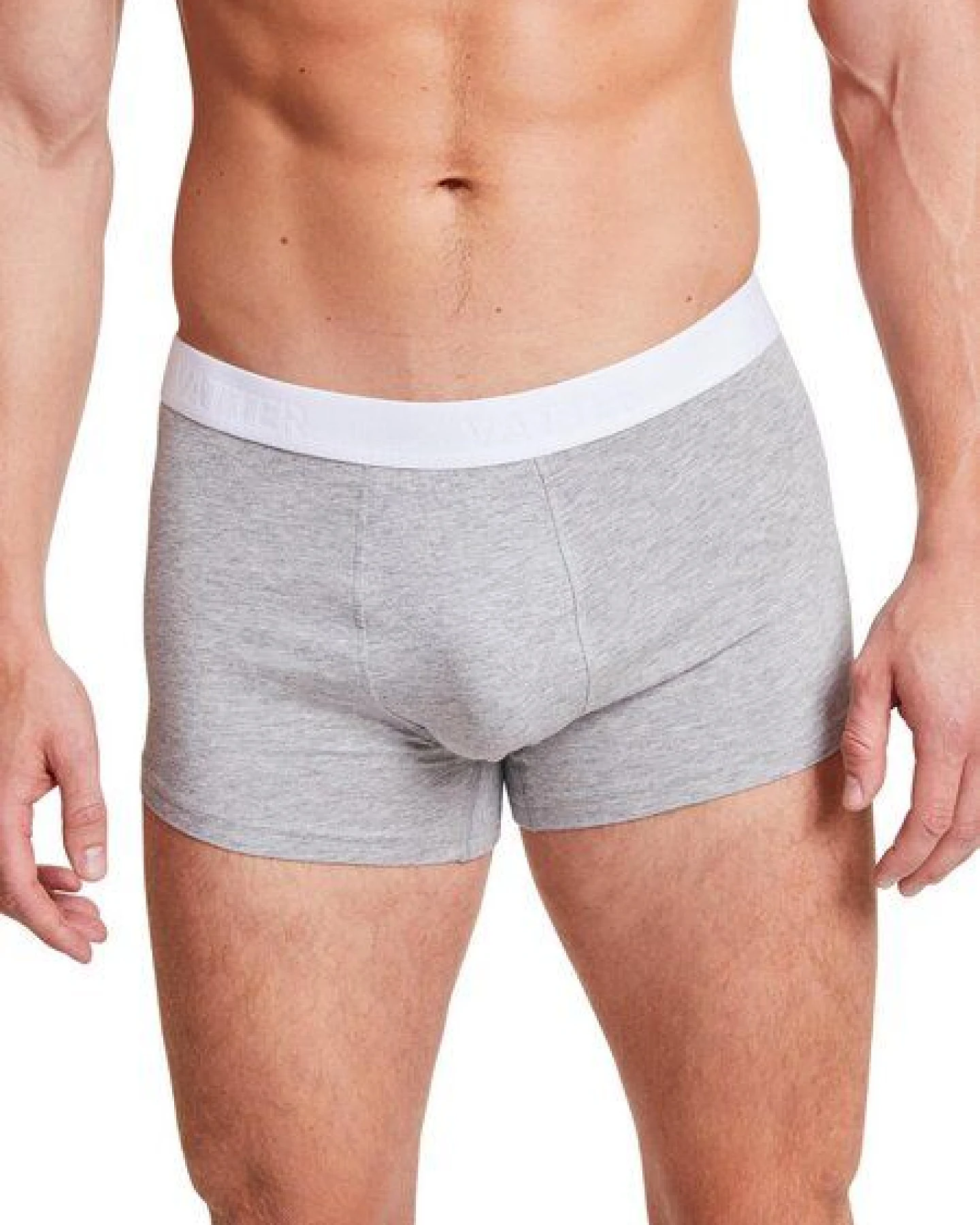 VATTER Trunk Short "Tight Tim" Grey Melange – Ansicht 2