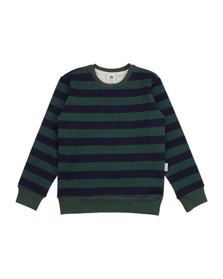 Kinder Sweatshirt GOTS-zertifiziert aus Bio-Baumwolle, dunkelgrün gestreift, langarm – Walkiddy, weich & alltagstauglich
