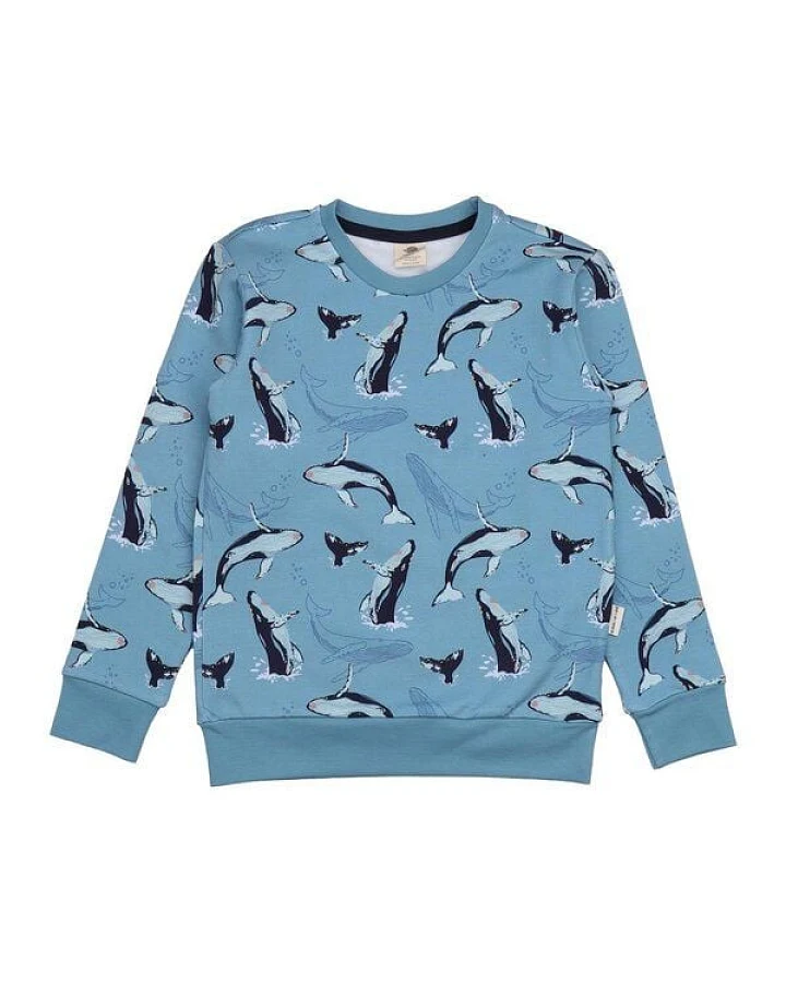 Kinder Sweatshirt GOTS-zertifiziert aus Bio-Baumwolle, blau mit Wal-Print – Walkiddy, weich, hautfreundlich, nachhaltig & fair produziert