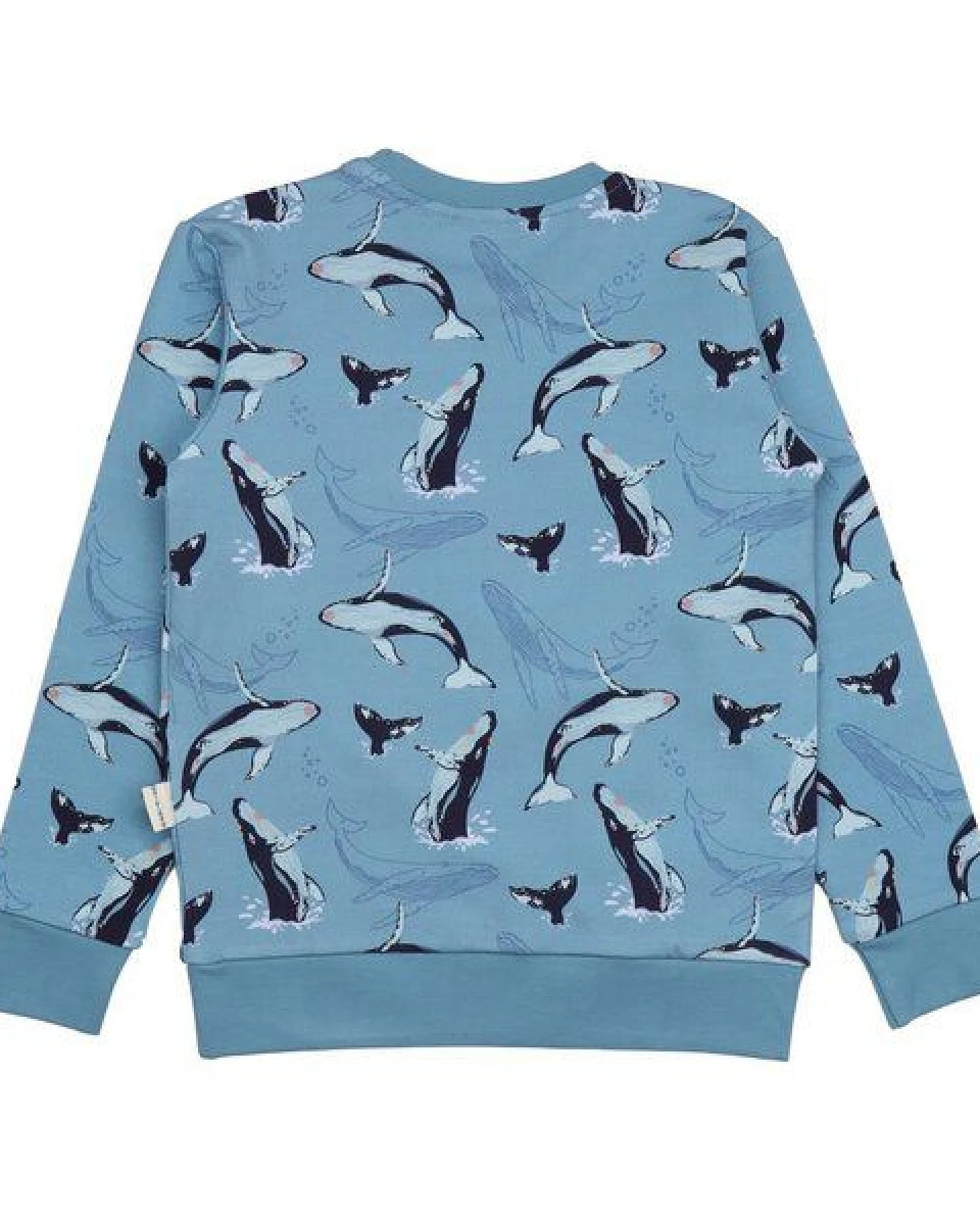 Kinder Sweatshirt GOTS-zertifiziert aus Bio-Baumwolle, blau mit Wal-Print – Walkiddy, weich, hautfreundlich, nachhaltig & fair produziert – Ansicht 3