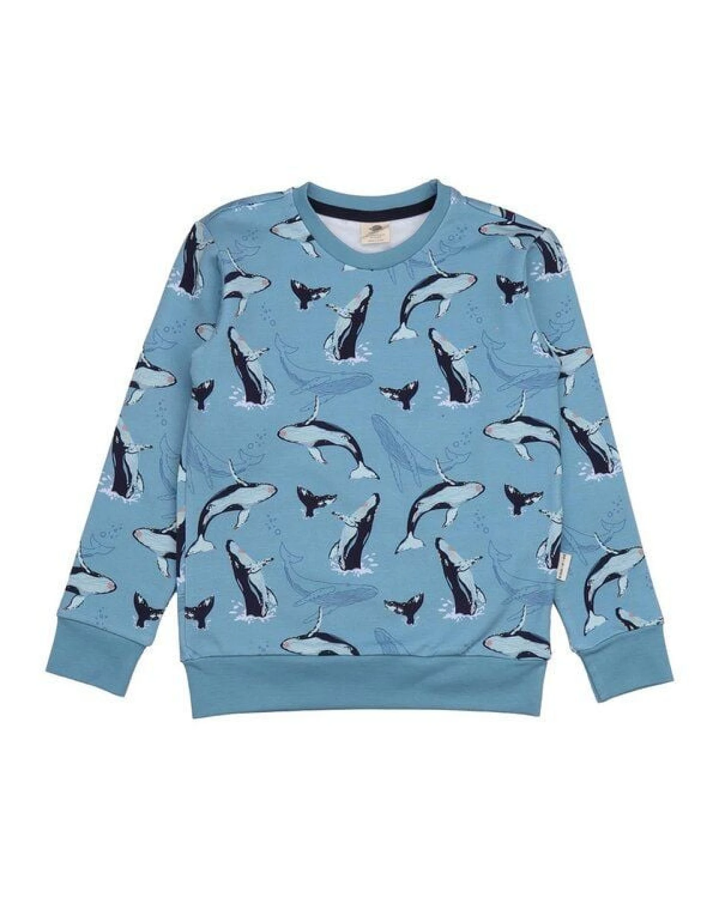 Kinder Sweatshirt GOTS-zertifiziert aus Bio-Baumwolle, blau mit Wal-Print – Walkiddy, weich, hautfreundlich, nachhaltig & fair produziert – Ansicht 2