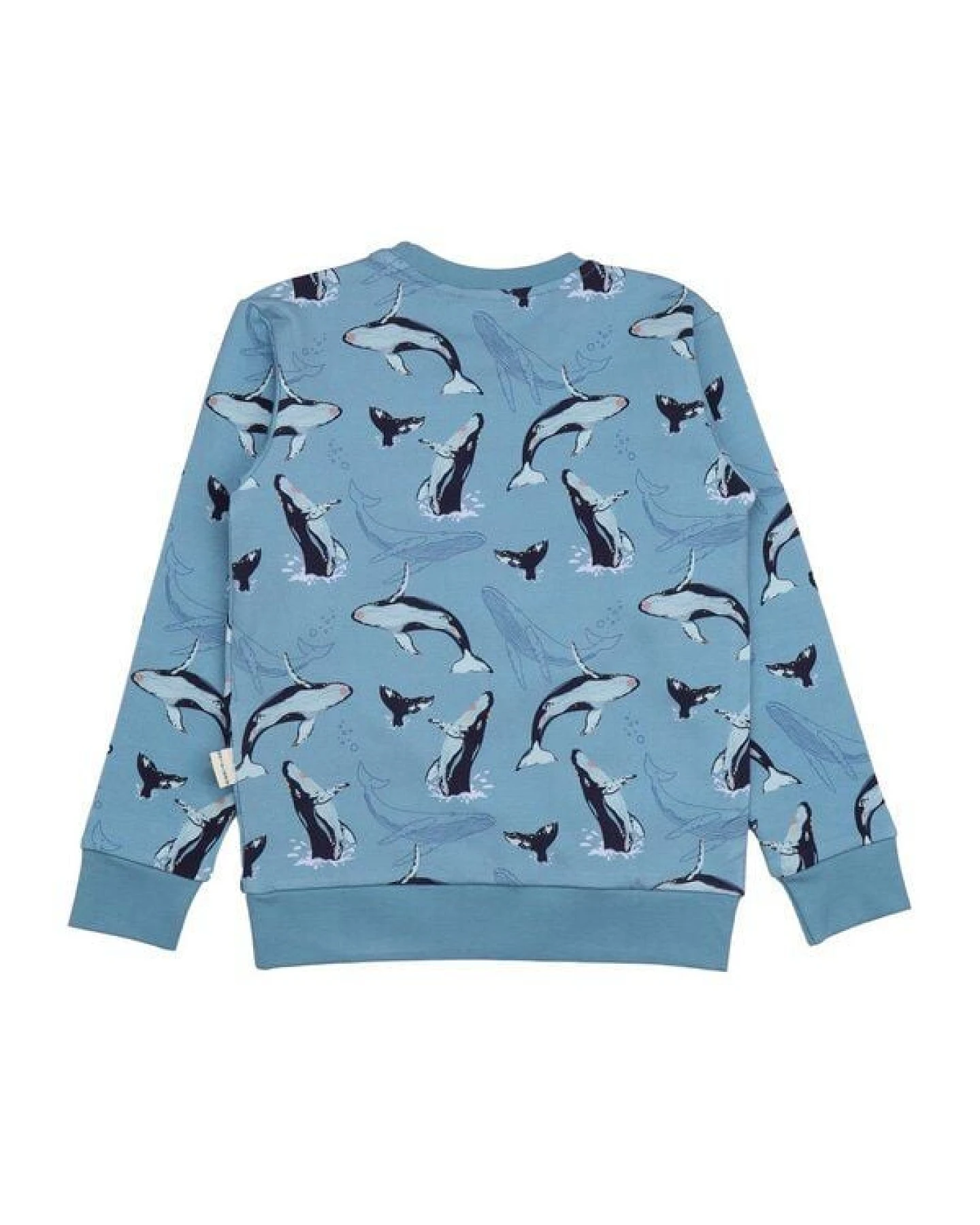 Kinder Sweatshirt GOTS-zertifiziert aus Bio-Baumwolle, blau mit Wal-Print – Walkiddy, weich, hautfreundlich, nachhaltig & fair produziert – Ansicht 3