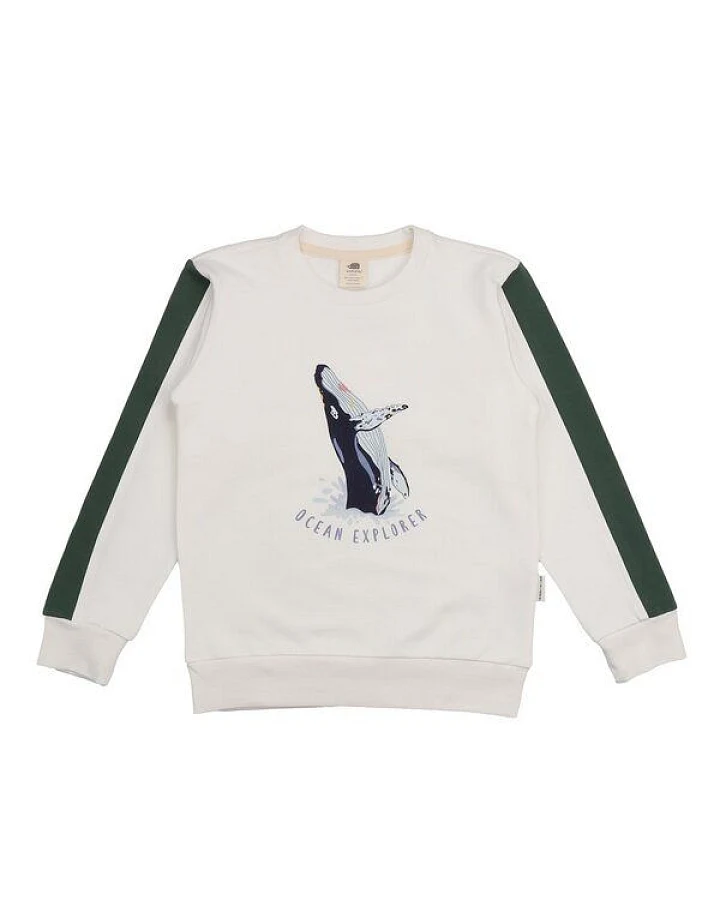 Kinder Sweatshirt Bio-Baumwolle Jumping Whales Walkiddy, GOTS-zertifiziert, kuschelweich, vegan, fair produziert, maritimer Allover-Print für kleine Entdecker innen