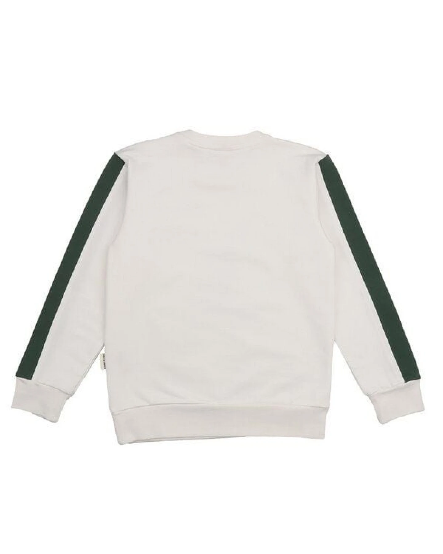 Kinder Sweatshirt Bio-Baumwolle Jumping Whales Walkiddy, GOTS-zertifiziert, kuschelweich, vegan, fair produziert, maritimer Allover-Print für kleine Entdecker innen – Ansicht 4
