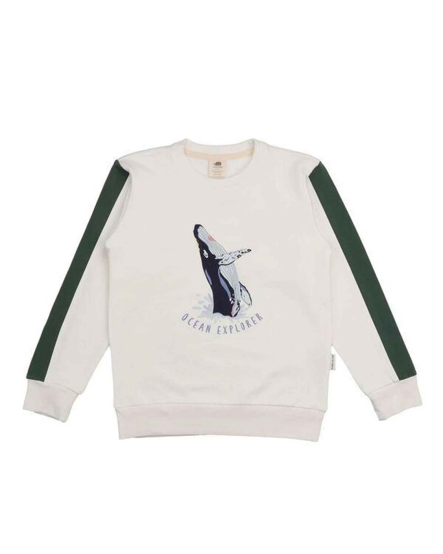Kinder Sweatshirt Bio-Baumwolle Jumping Whales Walkiddy, GOTS-zertifiziert, kuschelweich, vegan, fair produziert, maritimer Allover-Print für kleine Entdecker innen – Ansicht 2