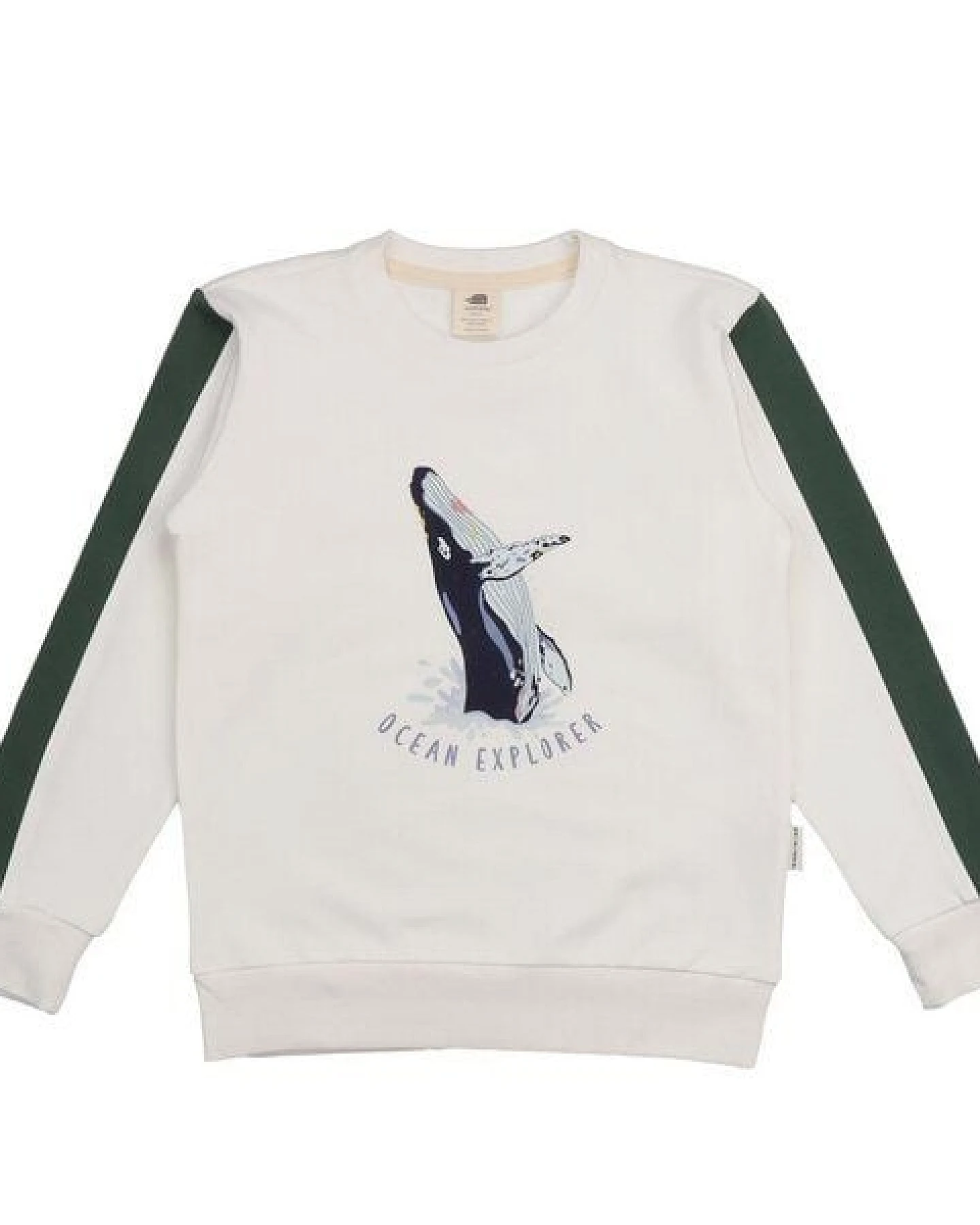 Kinder Sweatshirt Bio-Baumwolle Jumping Whales Walkiddy, GOTS-zertifiziert, kuschelweich, vegan, fair produziert, maritimer Allover-Print für kleine Entdecker innen – Ansicht 2