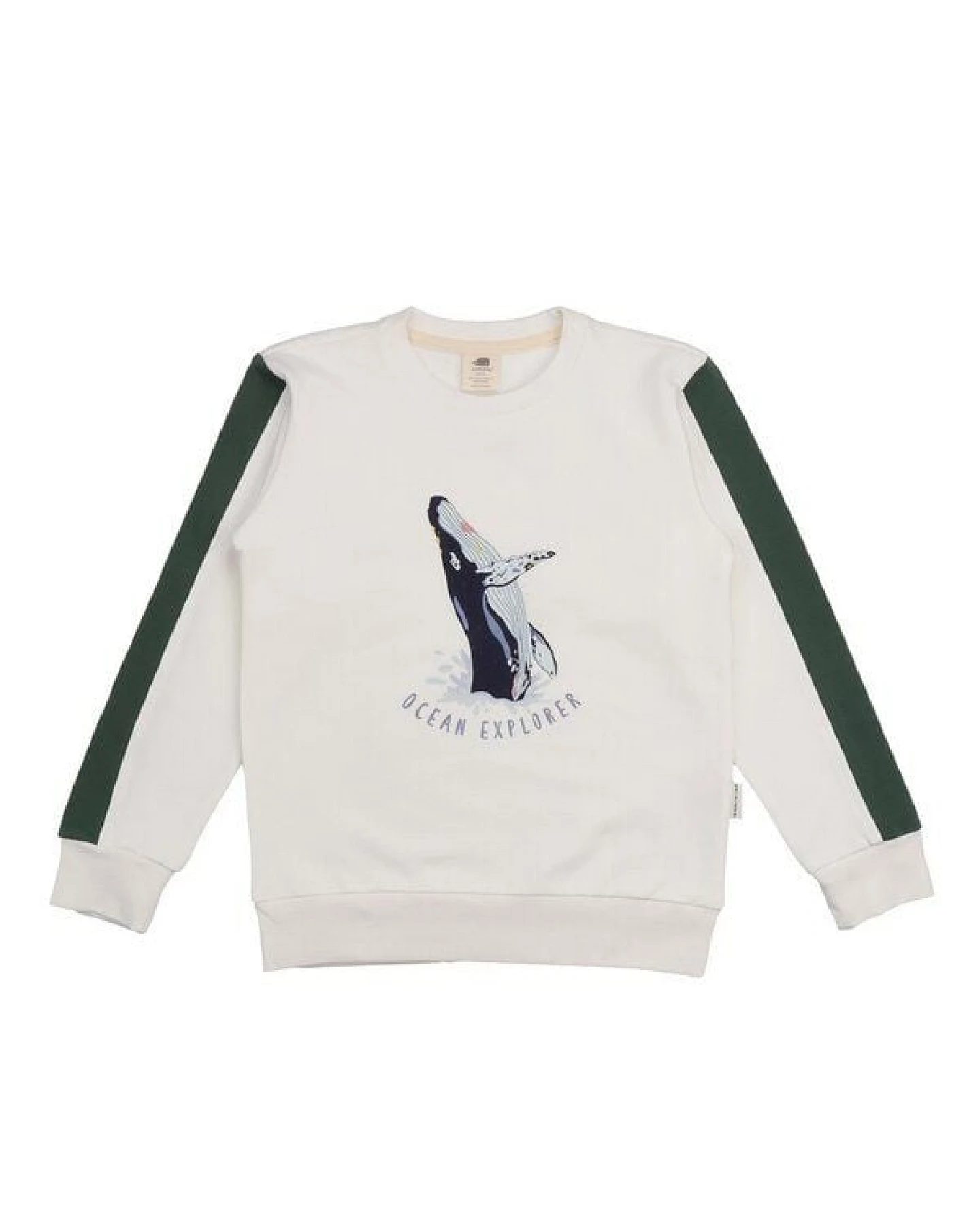 Kinder Sweatshirt Bio-Baumwolle Jumping Whales Walkiddy, GOTS-zertifiziert, kuschelweich, vegan, fair produziert, maritimer Allover-Print für kleine Entdecker innen – Ansicht 2