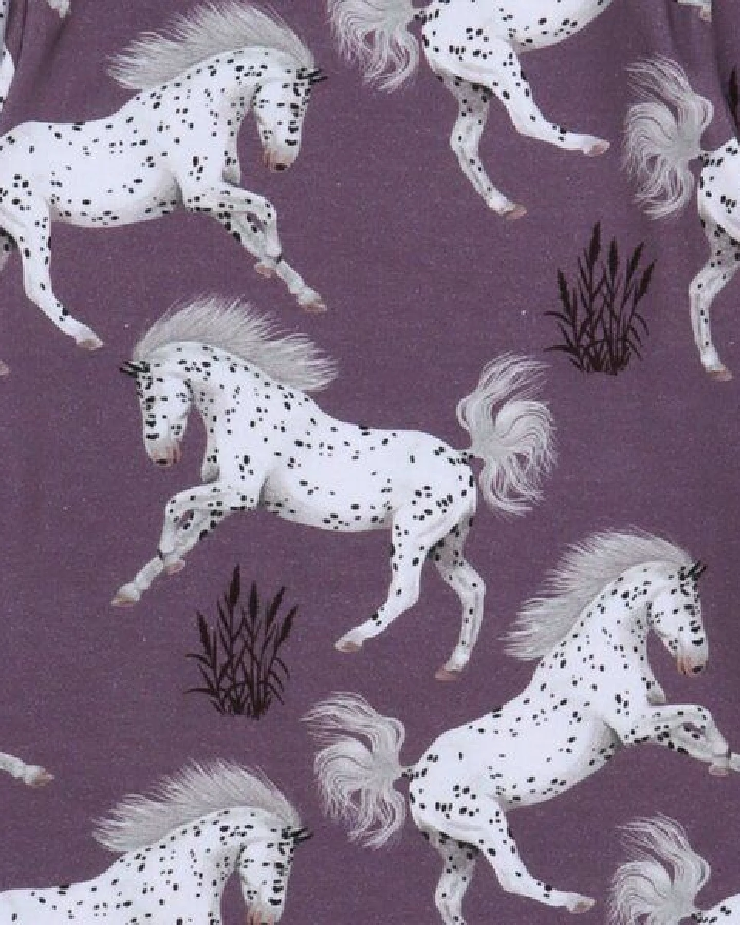 Kinder Langarmshirt Schimmel Bio-Baumwolle – GOTS-zertifiziertes Walkiddy Shirt mit Pferde-Print, weich, atmungsaktiv & ideal für Pferdefans – Ansicht 3