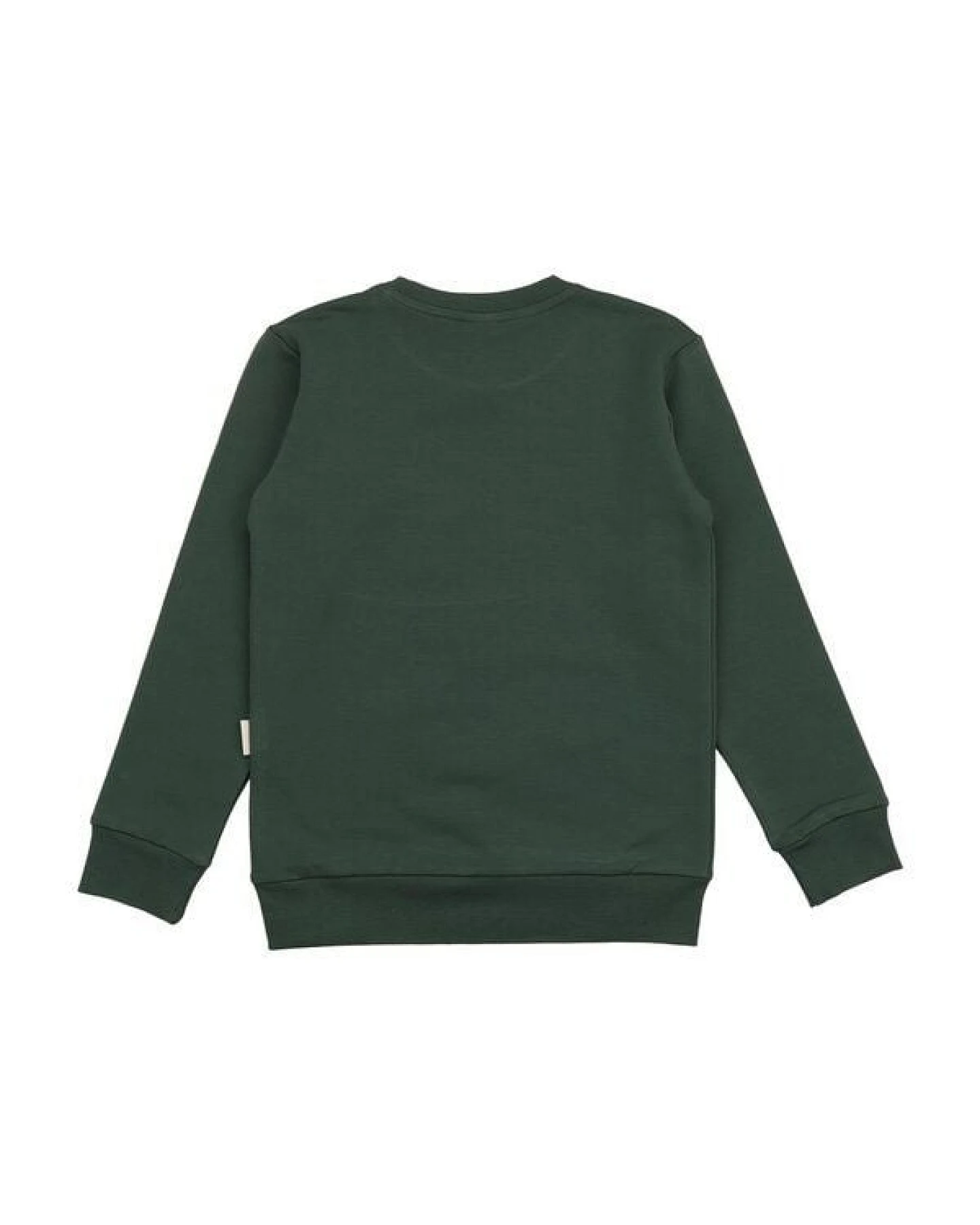 Walkiddy Sweatshirt Kinder Baumwolle The Secret Garden, weiches Rundhals Sweat mit Blumen Print für Schule, Spielplatz & Freizeit – Cotokids – Ansicht 4