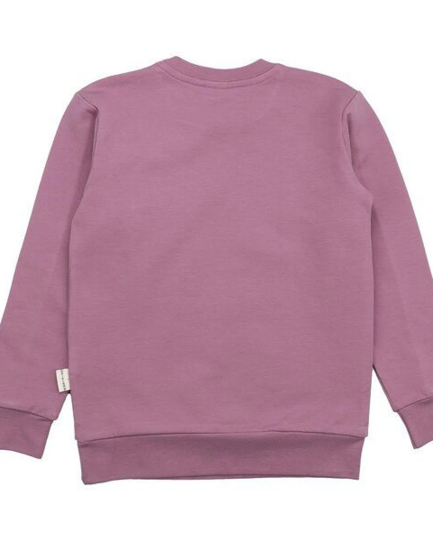 Kinder Sweatshirt GOTS zertifiziert, Bio-Baumwolle, altrosa, „Secret Garden“, weich & bequem, Langarm – Walkiddy – Ansicht 3