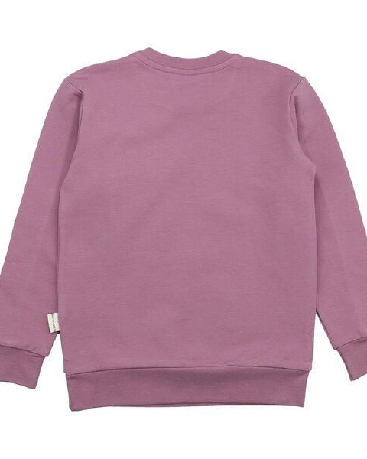 Kinder Sweatshirt GOTS zertifiziert, Bio-Baumwolle, altrosa, „Secret Garden“, weich & bequem, Langarm – Walkiddy – Ansicht 3